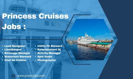 Princess Cruises Jobs Apply Now